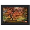 "First Colors of Fall I" by Moises Levy, Ready to Hang Framed Print, Black Frame