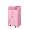 Locking Beauty Salon Storage Cabinet Hair Dryer Holder Stylist Equipment Drawer