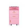 Locking Beauty Salon Storage Cabinet Hair Dryer Holder Stylist Equipment Drawer