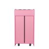 Locking Beauty Salon Storage Cabinet Hair Dryer Holder Stylist Equipment Drawer