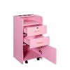 Locking Beauty Salon Storage Cabinet Hair Dryer Holder Stylist Equipment Drawer