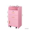 Locking Beauty Salon Storage Cabinet Hair Dryer Holder Stylist Equipment Drawer