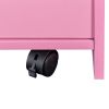 Locking Beauty Salon Storage Cabinet Hair Dryer Holder Stylist Equipment Drawer