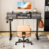 Sweetcrispy Home Office Height Adjustable Electric Standing Desk with Storage Shelf Double Drawer