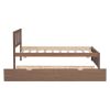 Modern Design Wooden Twin Size Platform Bed Frame with Trundle for Walnut Color